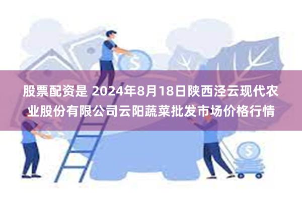 股票配资是 2024年8月18日陕西泾云现代农业股份有限公司云阳蔬菜批发市场价格行情