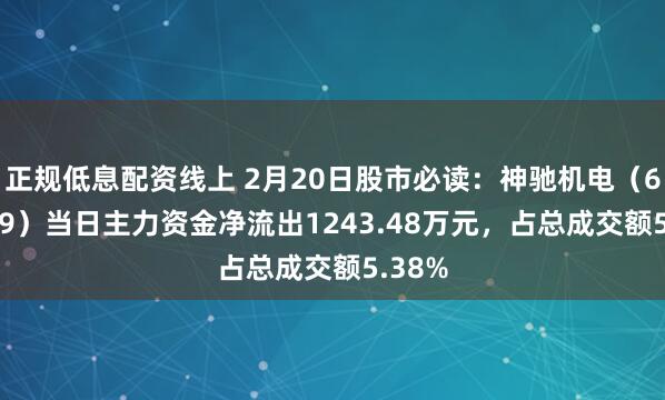 正规低息配资线上 2月20日股市必读：神驰机电（603109）当日主力资金净流出1243.48万元，占总成交额5.38%