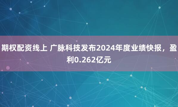 期权配资线上 广脉科技发布2024年度业绩快报，盈利0.262亿元
